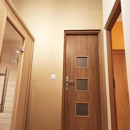 Centrum Szejka דירה שווידניקה