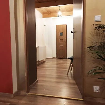 Centrum Szejka דירה *