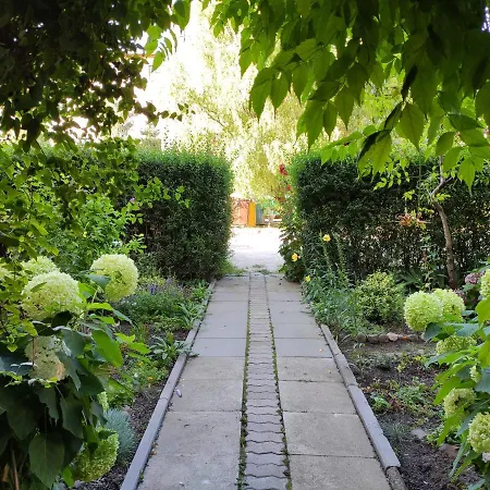 Centrum Szejka שווידניקה